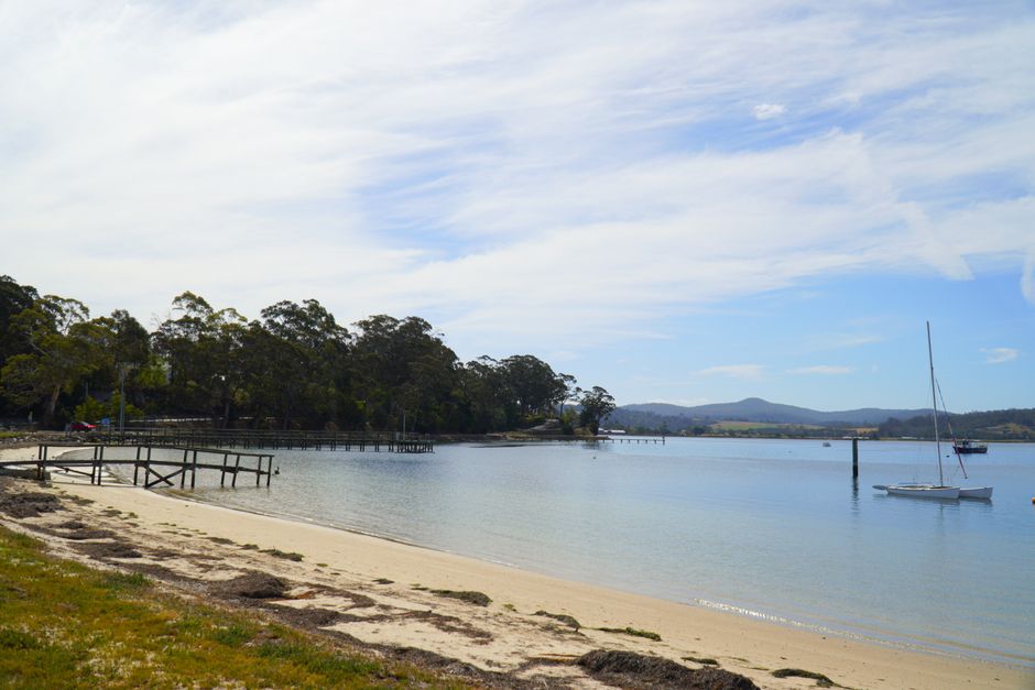 Tasmania Auction Bidding Strategy: Win in Sandy Bay