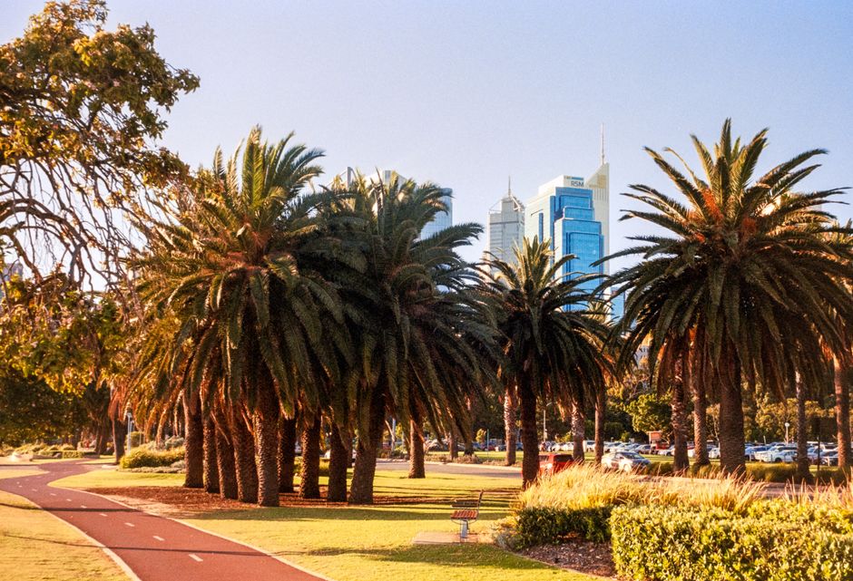 Perth's Next Wave: Five Emerging Artists Reshaping the City's Live Music Landscape
