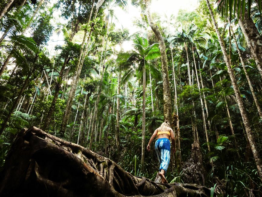 Walking meditation: how to turn your daily walk into mindfulness