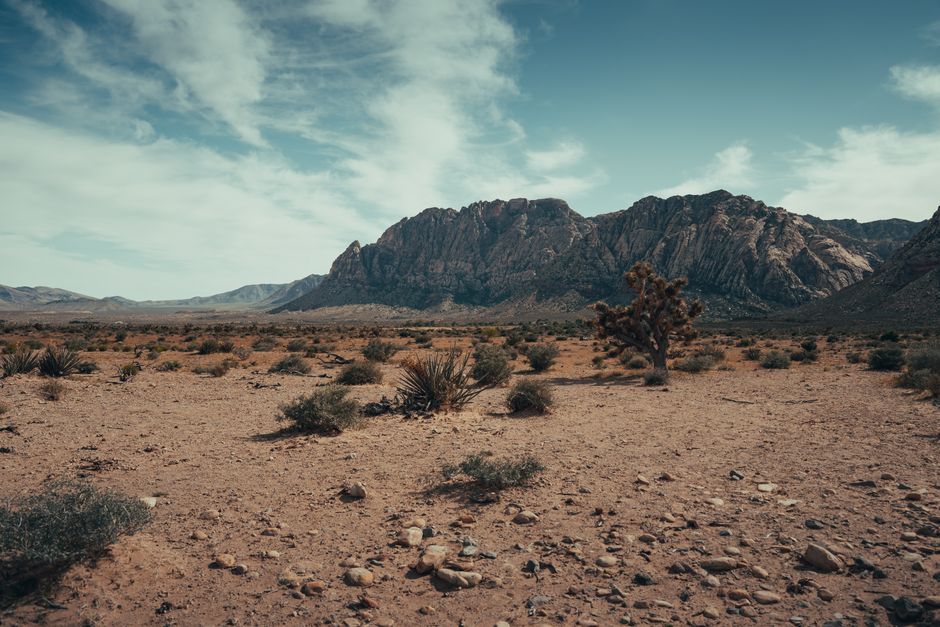Las Vegas 2026: Desert Hikes, Michelin Dining, Downtown Arts Beyond Strip