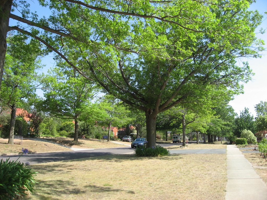 How to start a walking group in your neighbourhood
