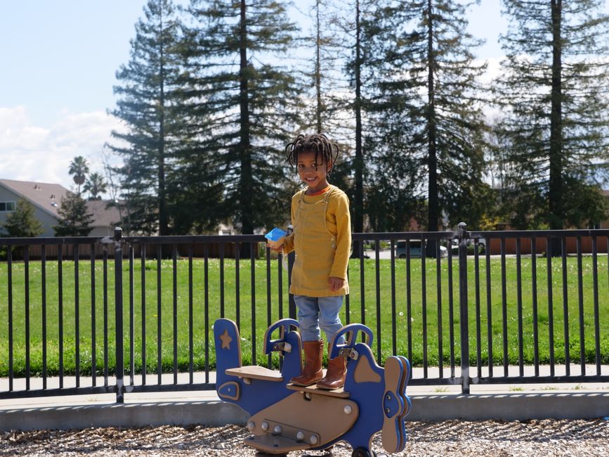 From Parklands to Playgrounds: How Adelaide Mums Are Redefining Family Wellness Together