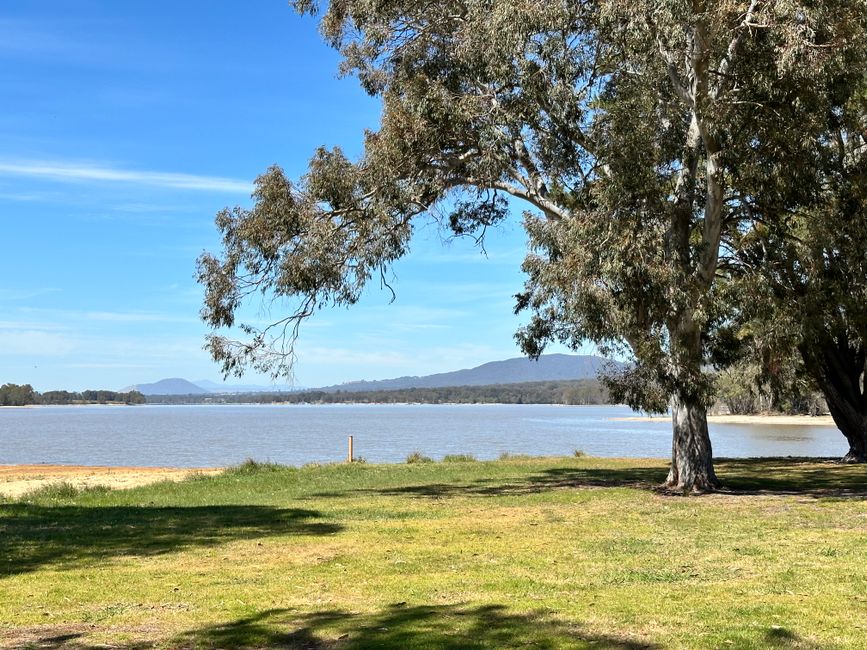 Waterfront Living Comes of Age: Why Bendigo Lake's Shores Are Attracting Serious Investors