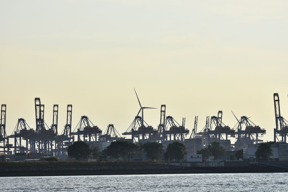Newcastle's Economy Explained: The Port, the Energy Transition and Where the Jobs Are