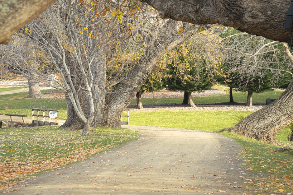 Mindfulness in Tasmania: Beginner's Guide to Calm Spaces