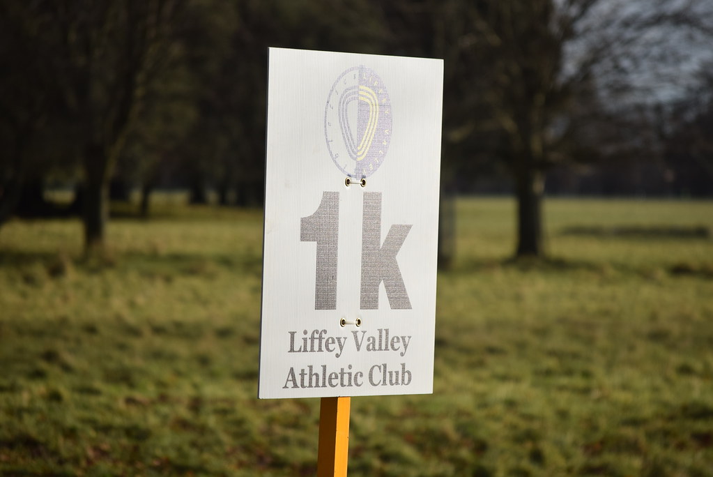 Local fun runs, charity walks and fitness events coming up