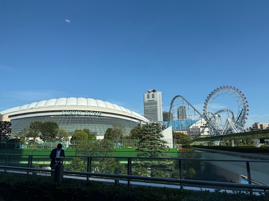 Tokyo's Fitness Boom: Your Essential Guide to Getting Started in the Gym