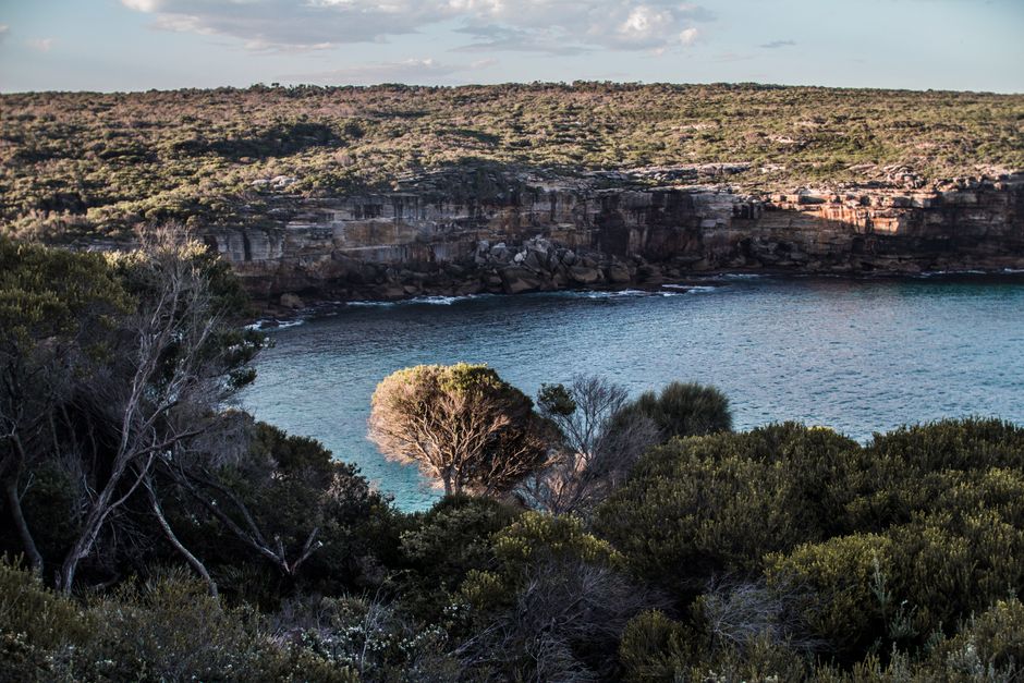 Royal National Park: The World's Second Oldest National Park on Sydney's Doorstep