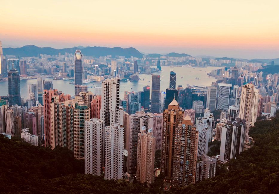 Hong Kong's Micro-Entrepreneur Boom Is Rewriting the Rules for Local Job Seekers and Talent