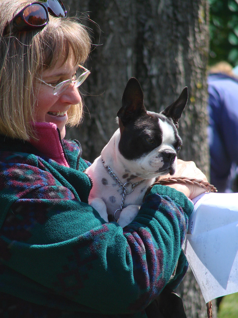 A Pet Owner’s Guide to Boston Neighborhoods: Inside Look at Community Vibe and Character
