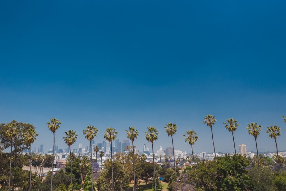 From Silver Lake to Santa Monica: Inside the Neighbourhood Character That Defines LA's Greatest Green Spaces