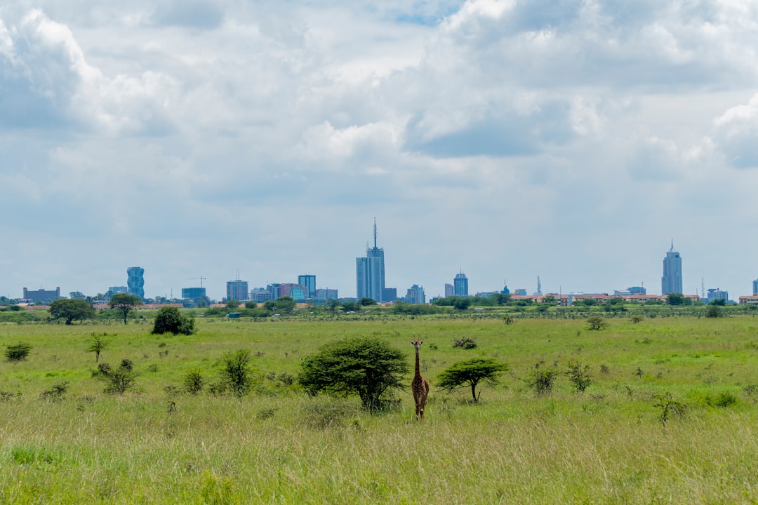 Nairobi’s Saturday Pulse: The Community and Movement Driving This Cultural Shift
