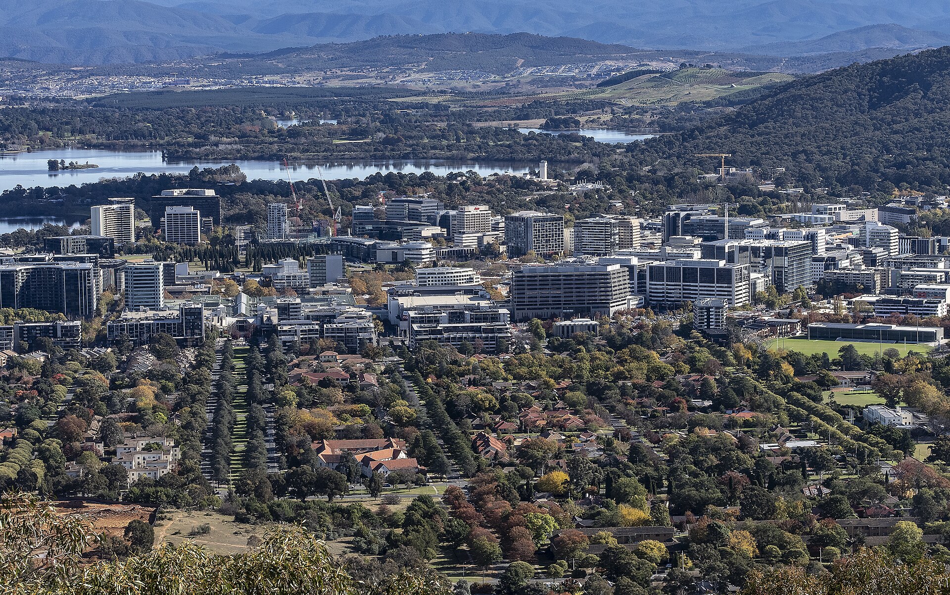 Remote Work Jobs Canberra: How Hybrid Roles Are Attracting Interstate Talent