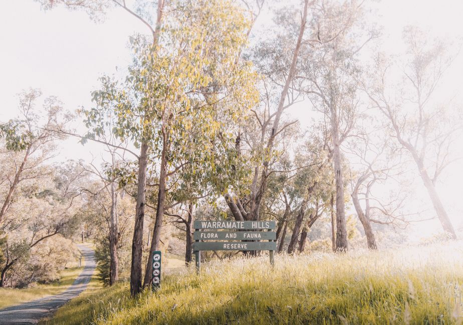 Bendigo New Land Release: Flora Hill Lots Now Open