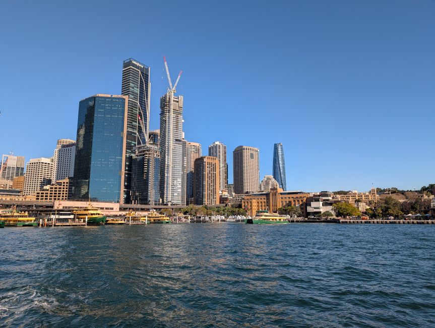 The Company You Need to Know About This Month: Sydney's Green Tech Pioneer