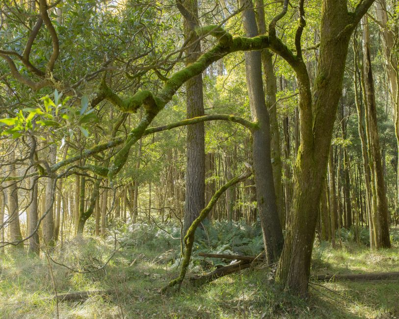 Best Hiking Trails Melbourne: Local Guide
