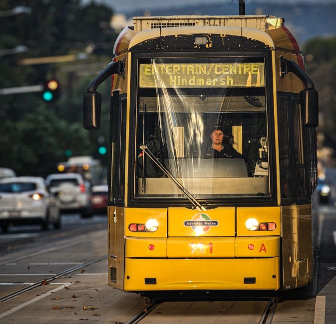 Adelaide's weekend by the numbers: What the data reveals about this weekend's events and openings