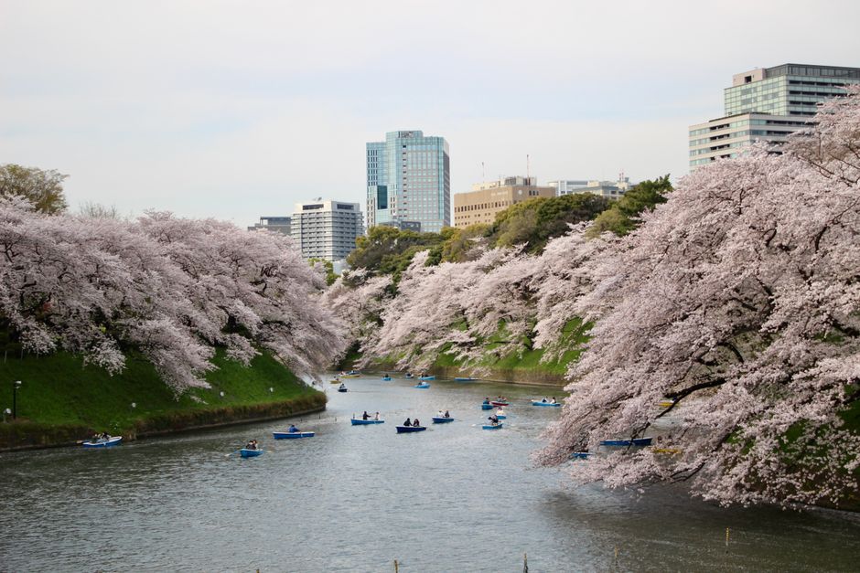 Tokyo Youth Football League: Chiyoda Clinches Historic Title