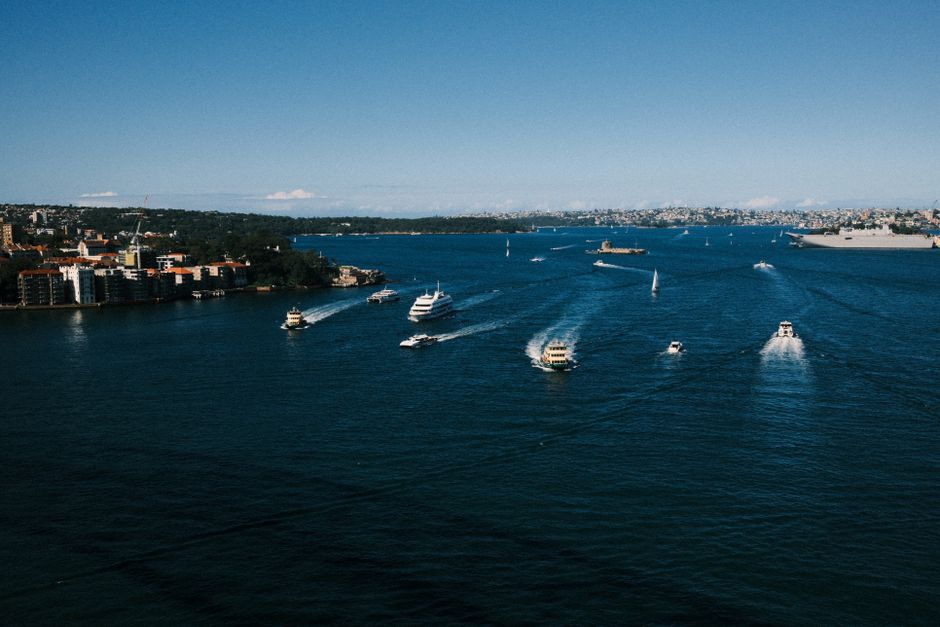 Sydney's best farmers markets and what to buy in season right now