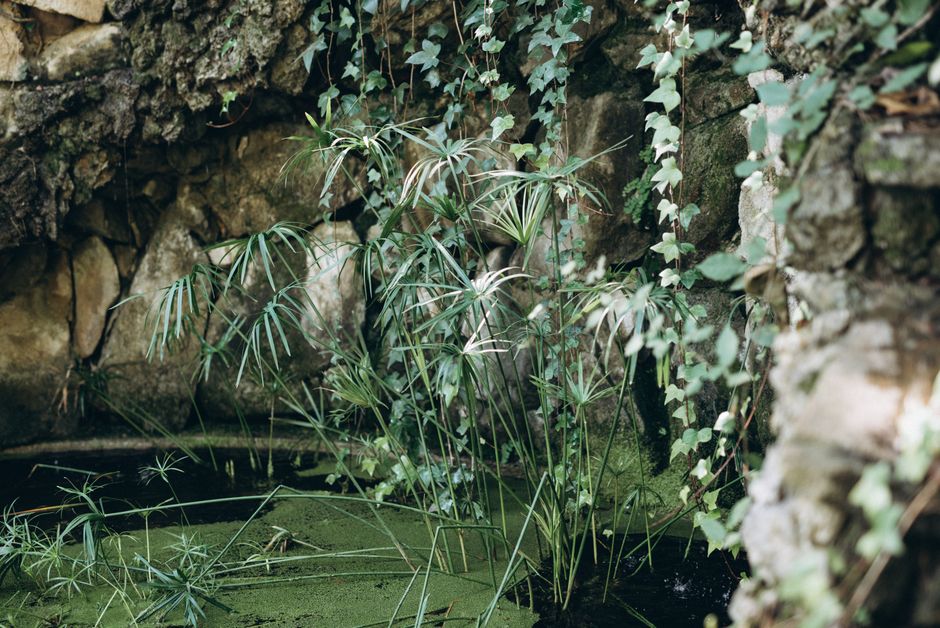 Walking Trails Ballarat: Local Favorites Beyond the Gardens