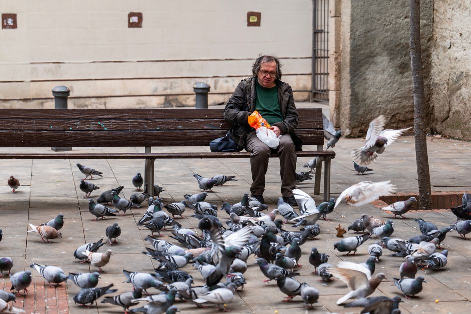 Active Aging Barcelona: Senior Wellness Guide