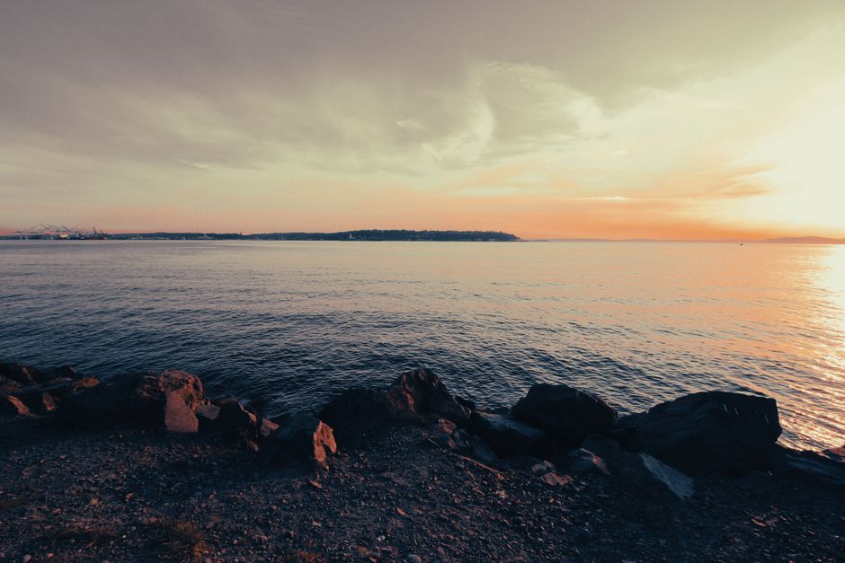Sweat Your Way Calm: The Science Behind Exercise and Anxiety Reduction