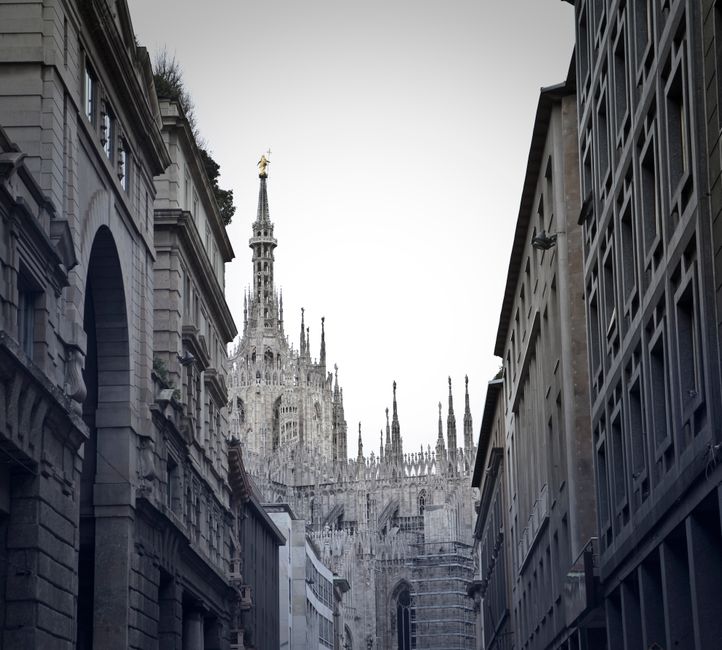 Understanding the Rise of Duplicate Images in Milan: Background Context and How We Arrived at This Point