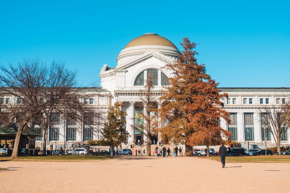 D.C.'s Fitness Numbers Tell a Story of Wellness Priorities Shifting Across the City's Neighborhoods