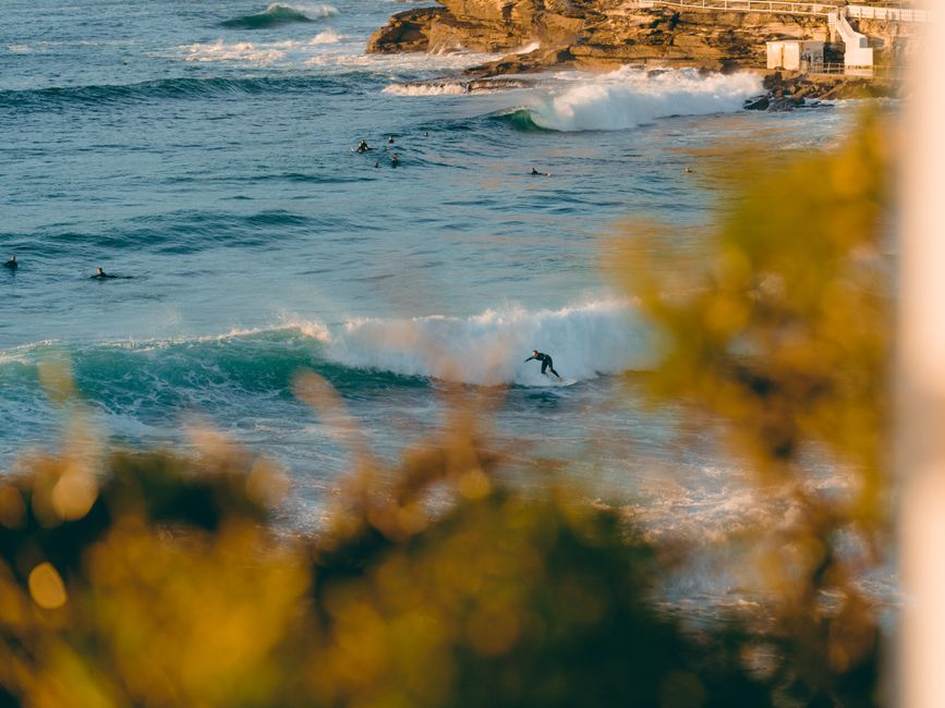 Sydney Winter 2026: Mild Enough to Enjoy, Cool Enough to Explore