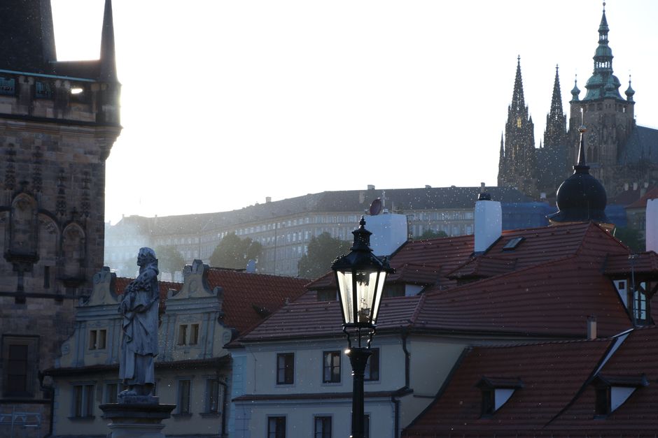 Eat Well, Spend Less: Prague's Best Kept Budget Nutrition Secrets