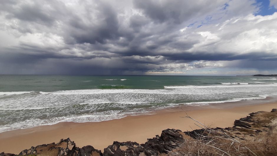 Behind the Numbers: The Data Statistics and Numbers Behind Central Coast's Growth Story