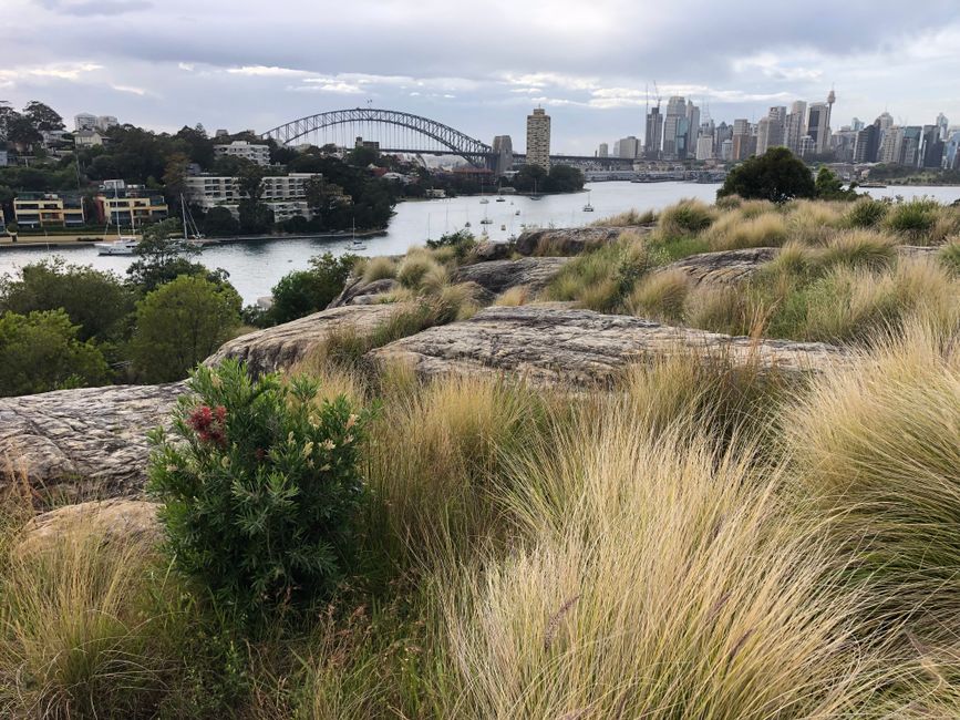 Things to do in Sydney for free this weekend – wellness and outdoor guide