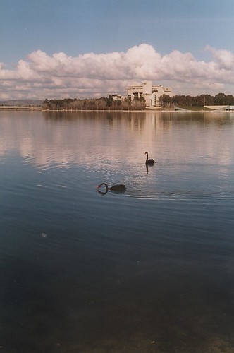 Lake Burley Griffin Winter Fitness Challenge Draws Record Canberra Participation
