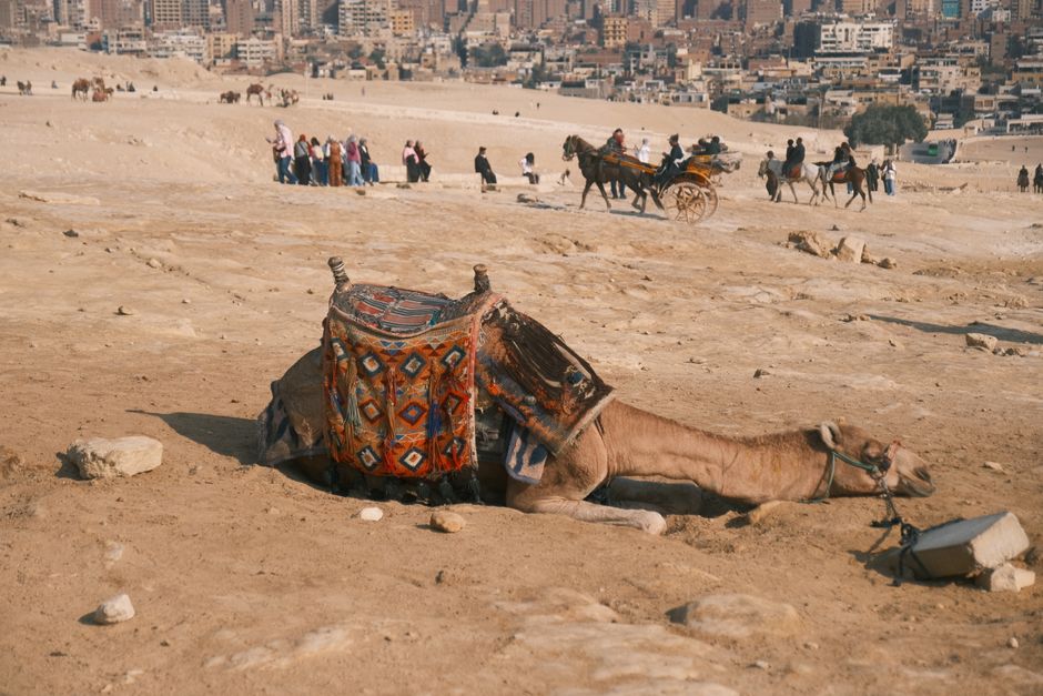 Smart Investors Flock to Cairo's Desert Suburbs, Expecting 18% Annual Growth