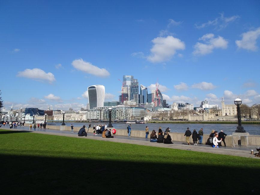 Beyond South Bank: the hidden nature walks locals love but tourists miss