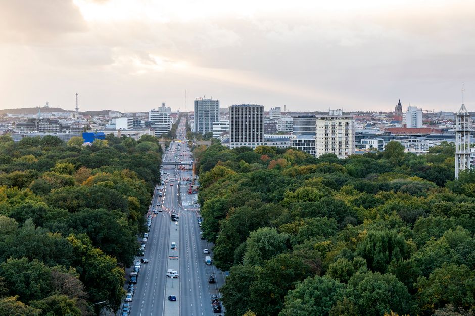Berlin's Parks Have Become Unrecognisable—And Locals Can't Get Enough