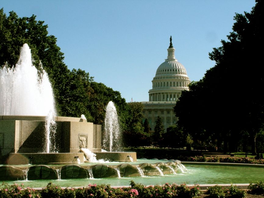Why Washington DC Parents Raise Kids Differently Than the Rest of the World
