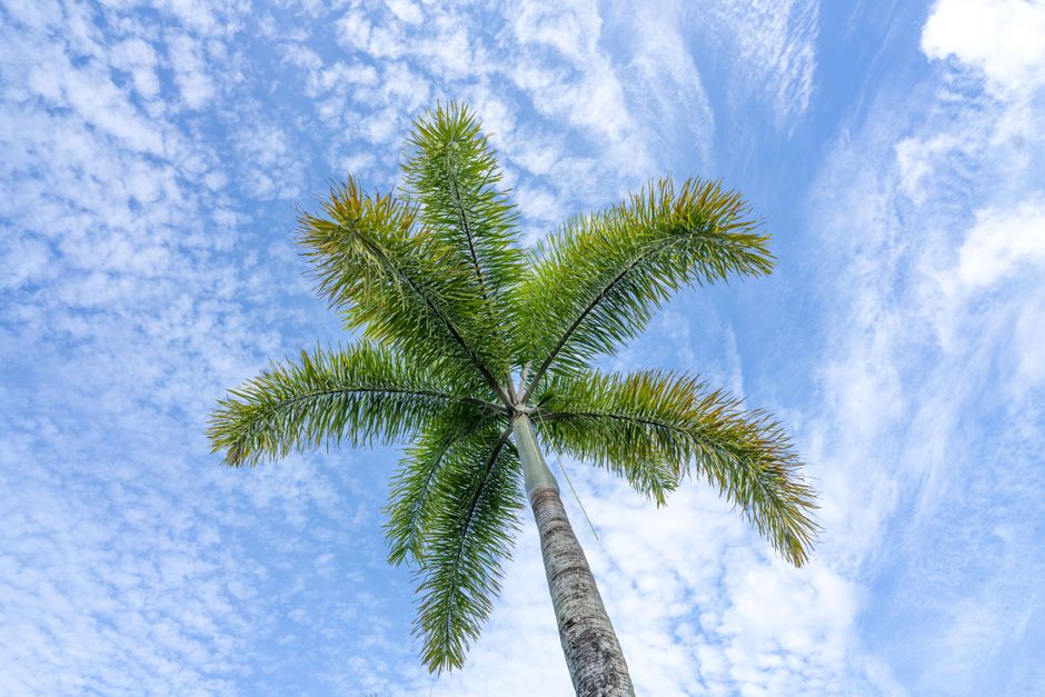 Cairns Hospitality Sector Battles Perfect Storm of Rising Costs and Shrinking Margins
