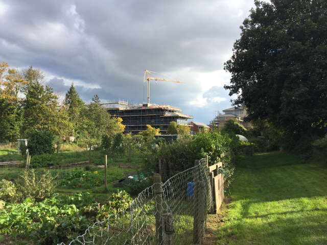 Build-to-rent developments and what they offer tenants