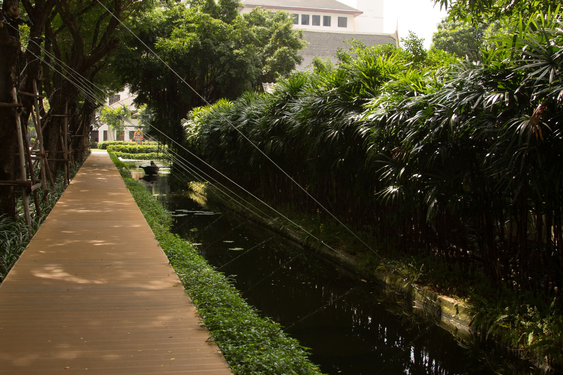 Bangkok Residents Discover Meditation to Combat Urban Stress Daily