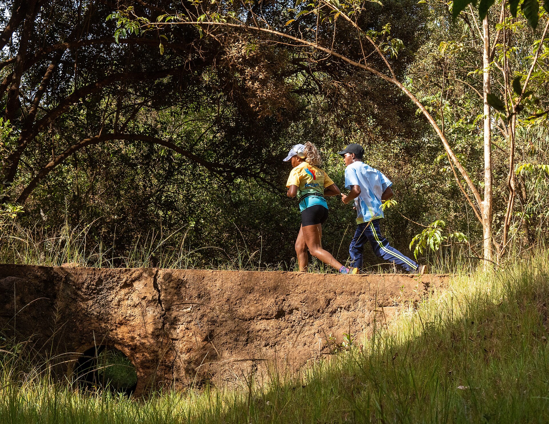 Nairobi Green Spaces: Karura Forest and the Arboretum