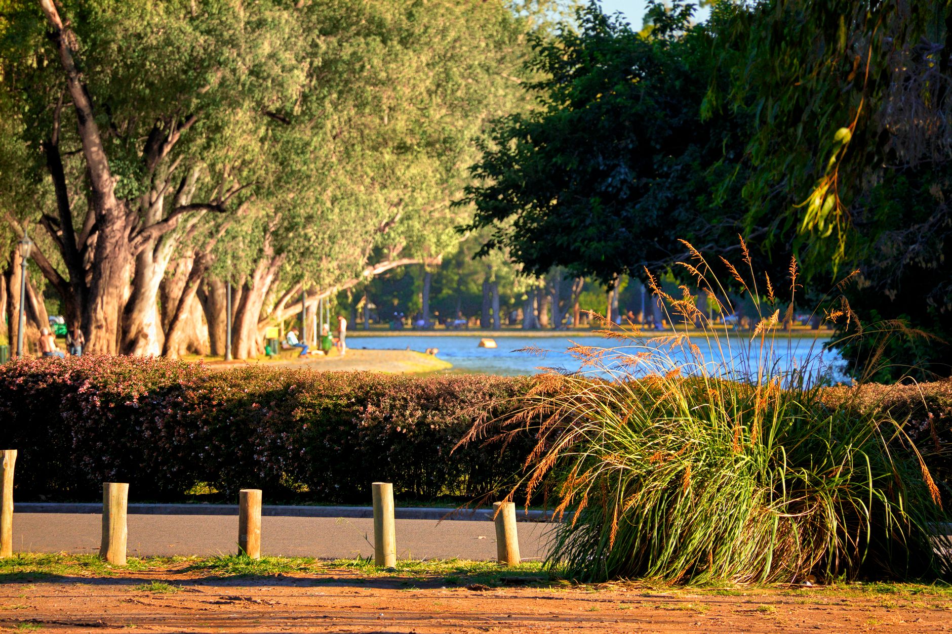 Brisbane Families Boost Women's Health Through Practical Wellbeing Strategies