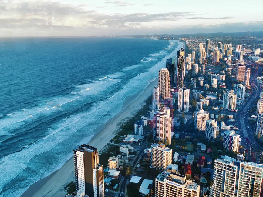 The Architects of Cool: How Gold Coast's Creative Class Built a Scene from Scratch