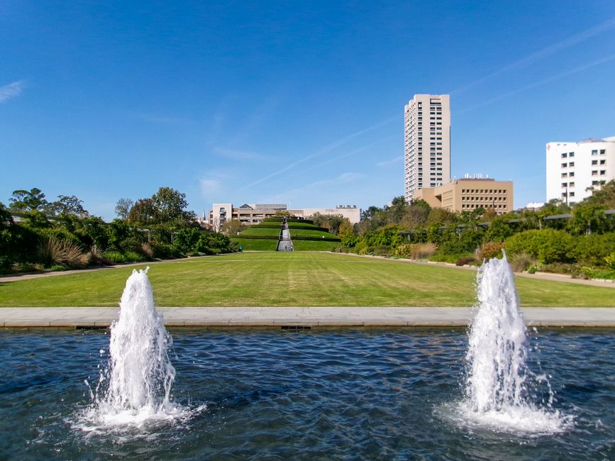 How Much Water Do You Really Need in Houston's Sweltering Heat?