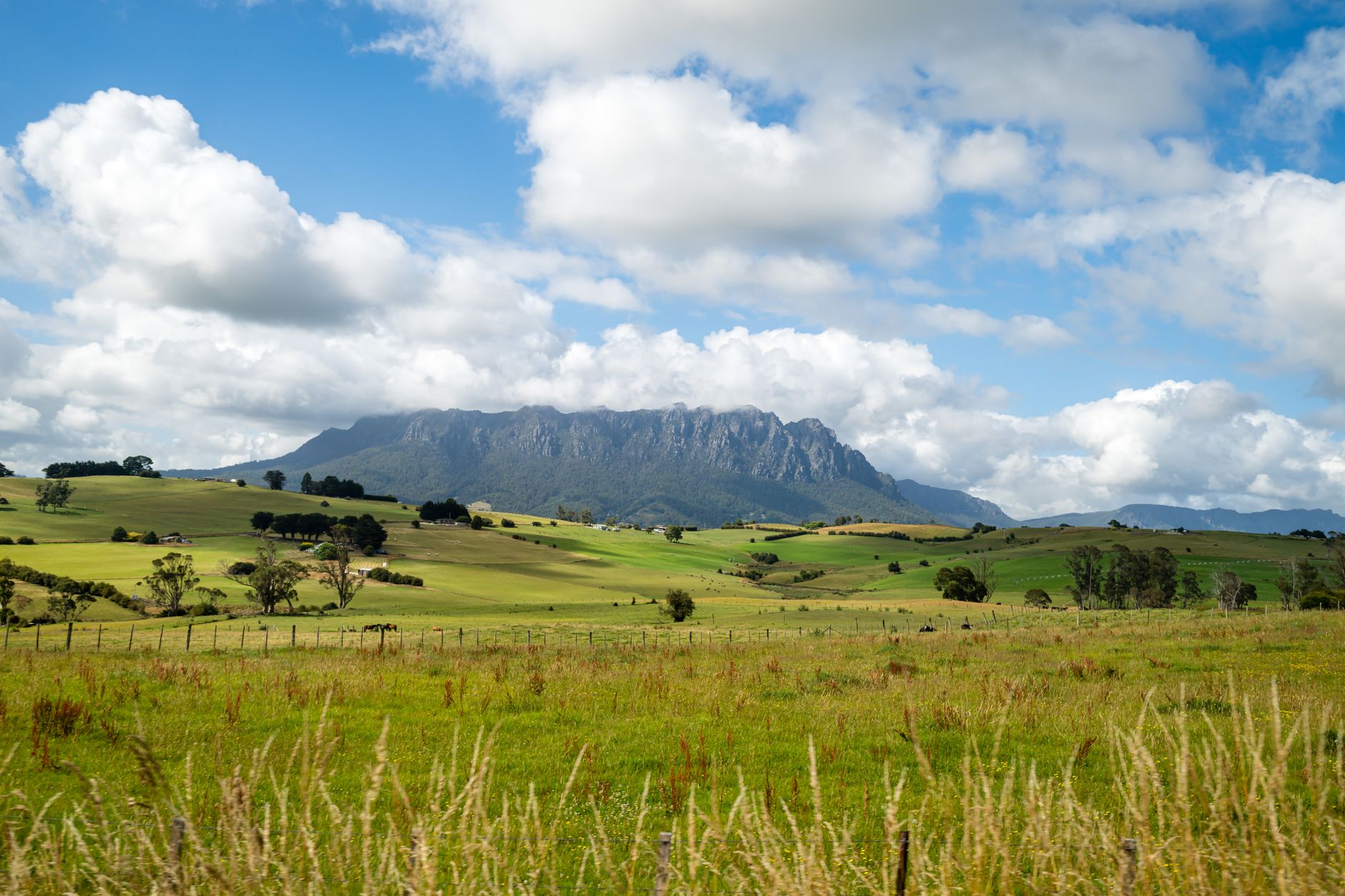 Tasmanian Fintech StartupBank Cuts SME Loan Approval From Weeks to Hours