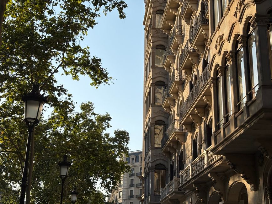 Barcelona Officials and Experts Weigh In on Duplicate Image Replacement