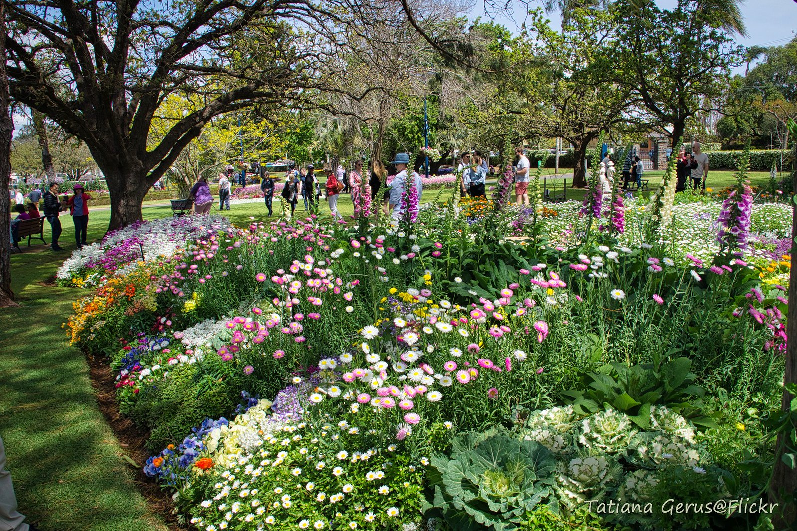 Toowoomba's Free Parks Boost Mental Health