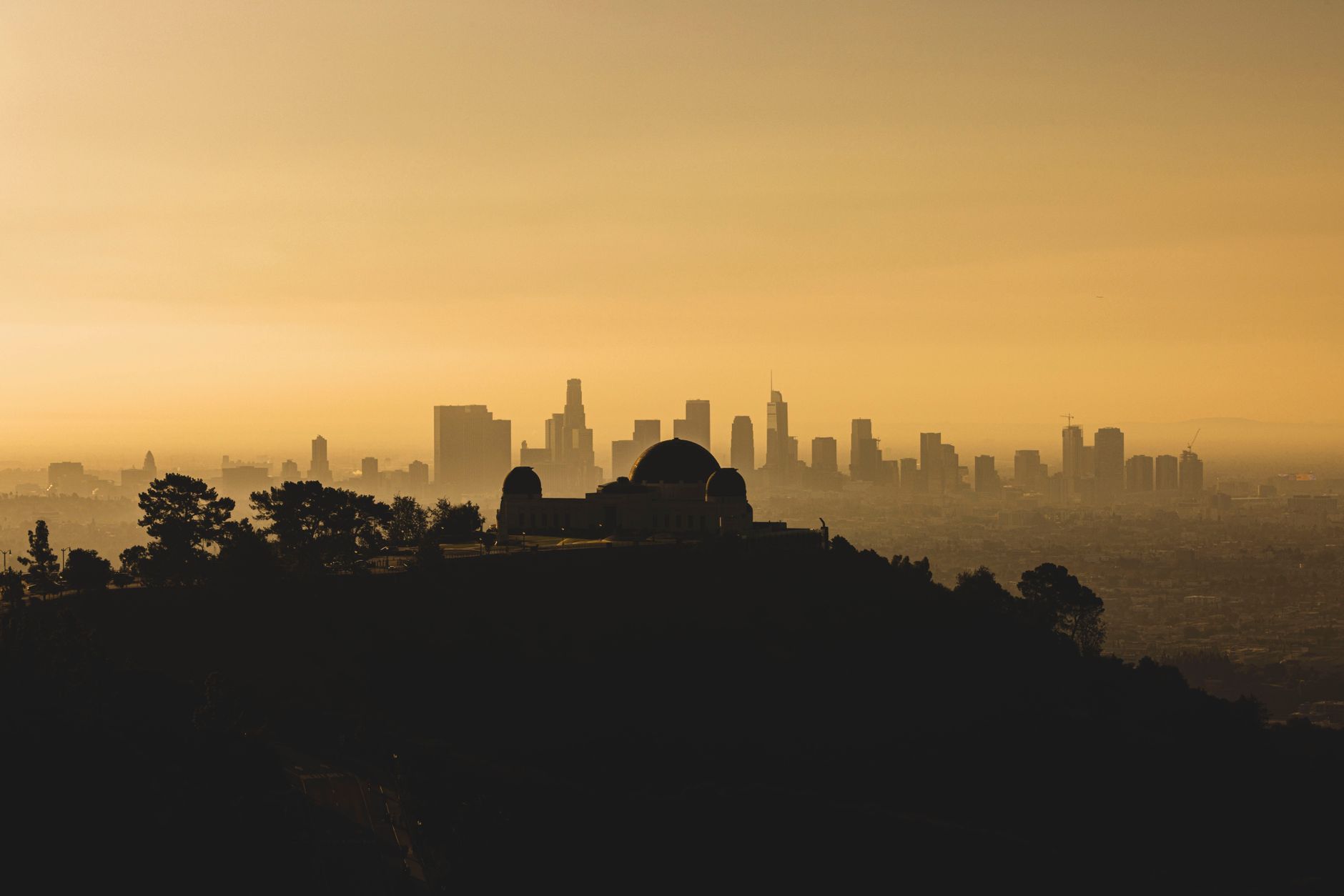 LA Residents Navigate Metro Expansion Chaos Across Multiple Neighborhoods