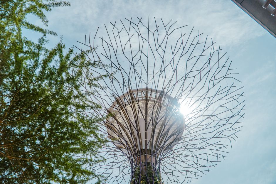 Your Essential Guide to Making the Most of Singapore's Parks and Green Spaces