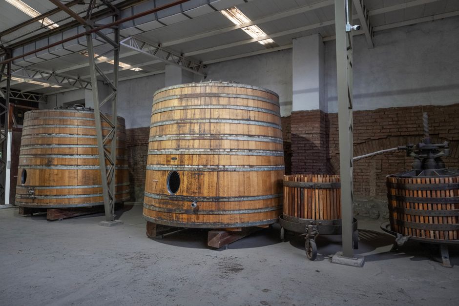 Santiago Wine Tour Guide: Best Wineries & Tastings